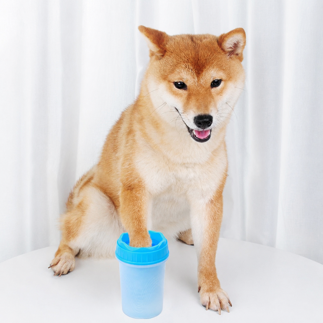 VeyaPaw™ Cleaner Cup