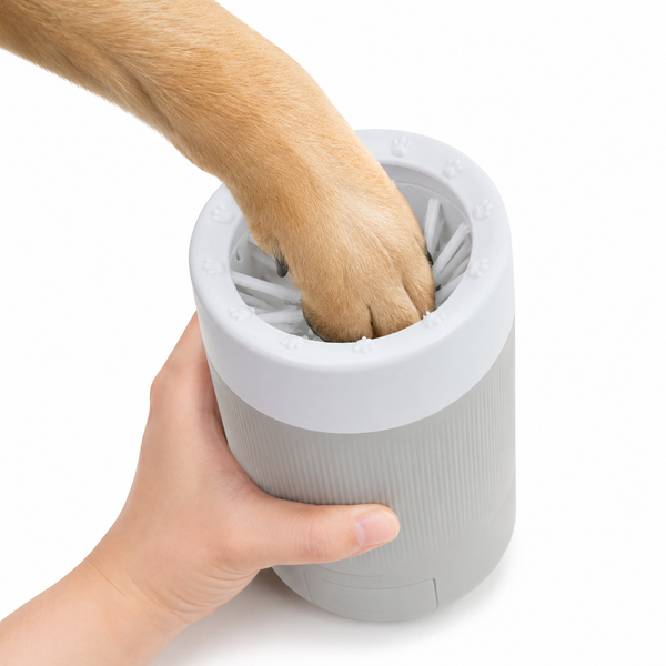 Insert Paw