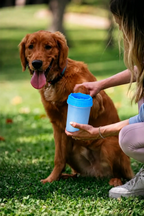 VeyaPaw™ Cleaner Cup